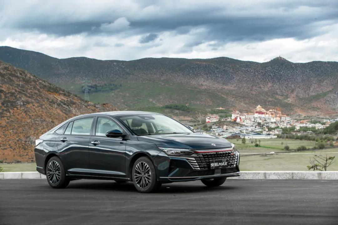 MAX享維修保養(yǎng)終身免費(fèi)上門取車服務(wù)